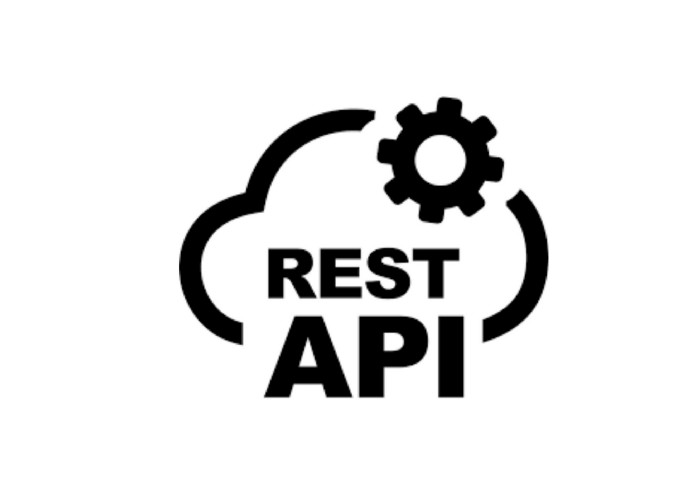 REST API Training at ROGERSOFT