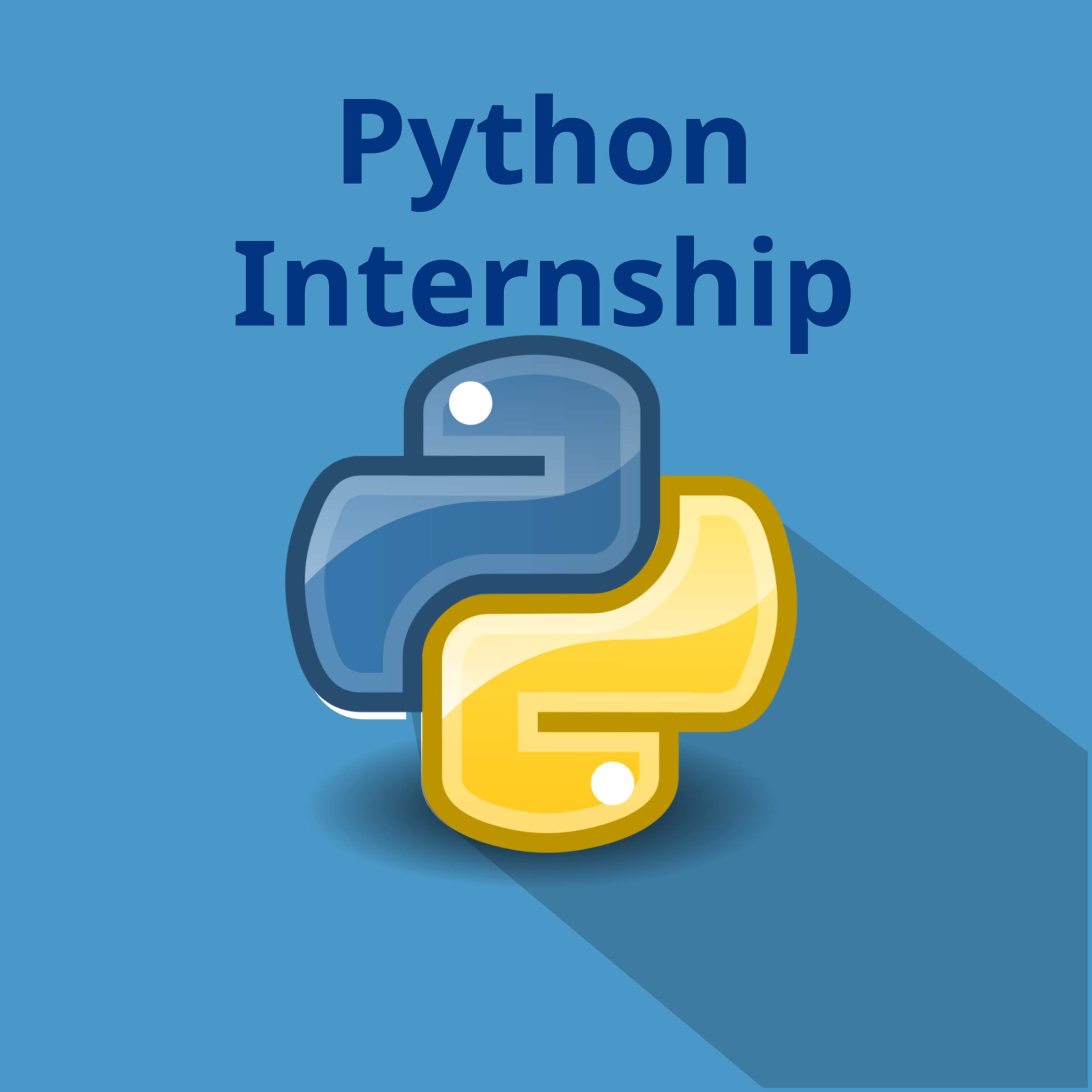 Launch Your Python Career: Internship in Kochi Inf