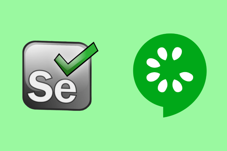 Selenium with Cucumber